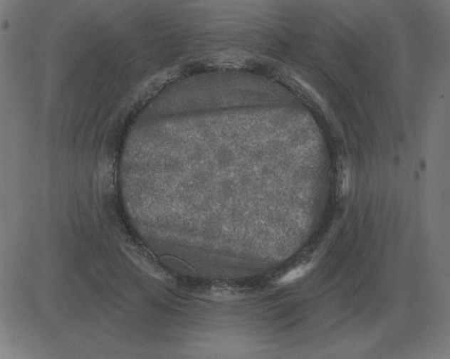 X0000081280641200702012220