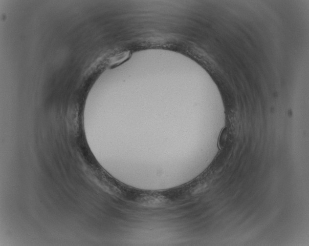 X0000081280642200702012220