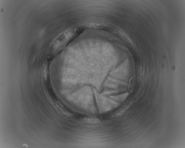 X0000081280644200702012220