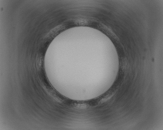 X0000081280645200702012220