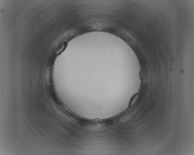 X0000081280646200702012220