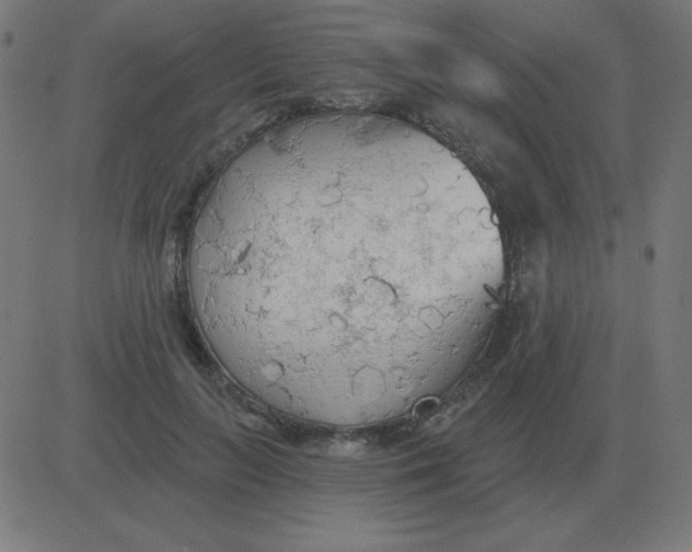 X0000081280647200702012220