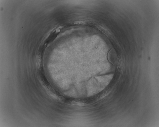 X0000081280648200702012220