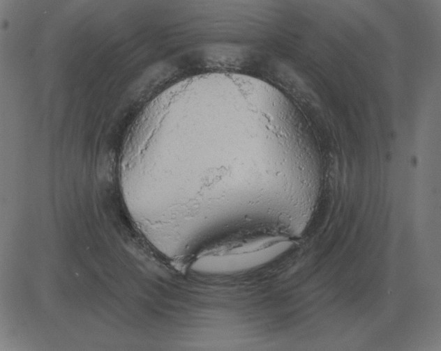 X0000081280649200702012220