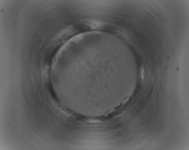 X0000081280650200702012220