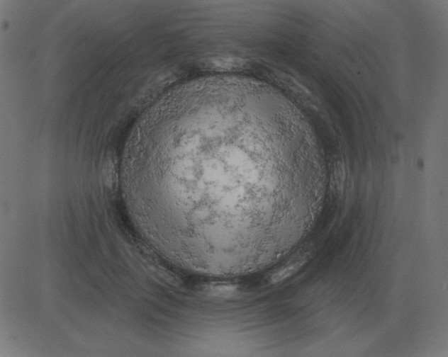 X0000081280651200702012220