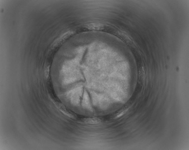 X0000081280652200702012220