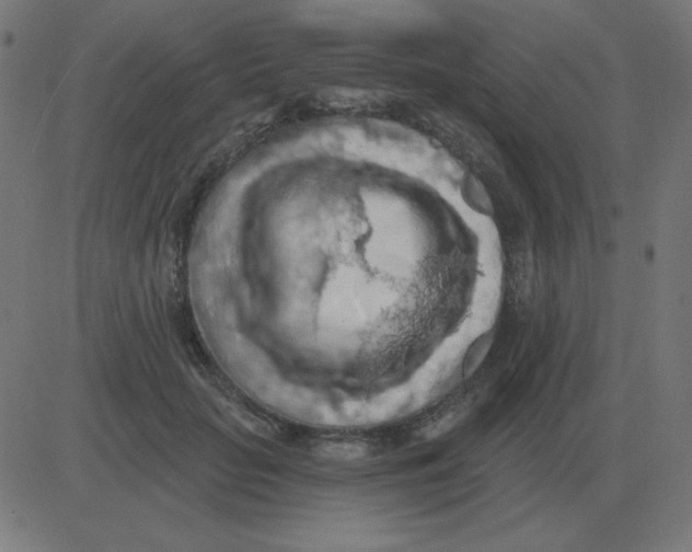 X0000081280653200702012220