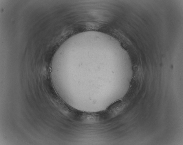 X0000081280655200702012220