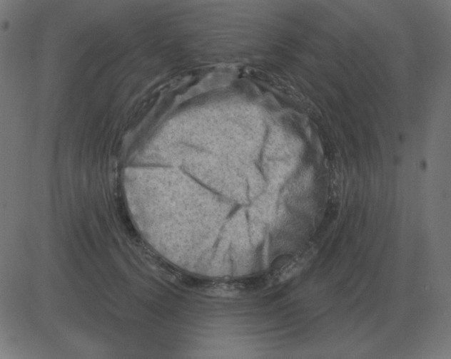 X0000081280656200702012220