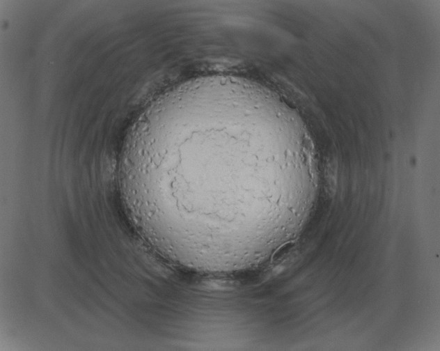 X0000081280657200702012220