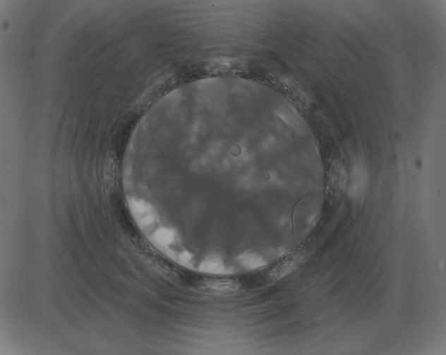 X0000081280659200702012220