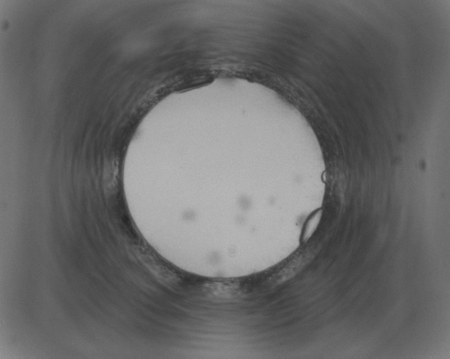 X0000081280660200702012220