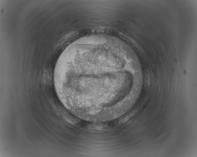 X0000081280661200702012220