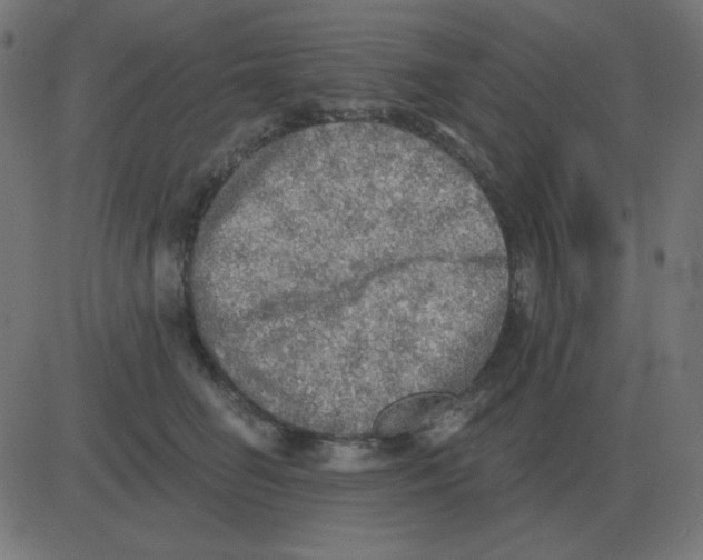 X0000081280662200702012220