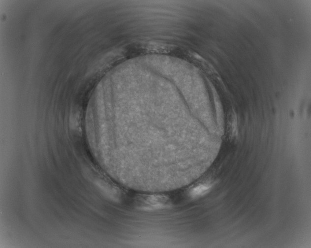 X0000081280663200702012220