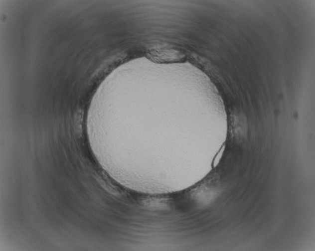 X0000081280664200702012220