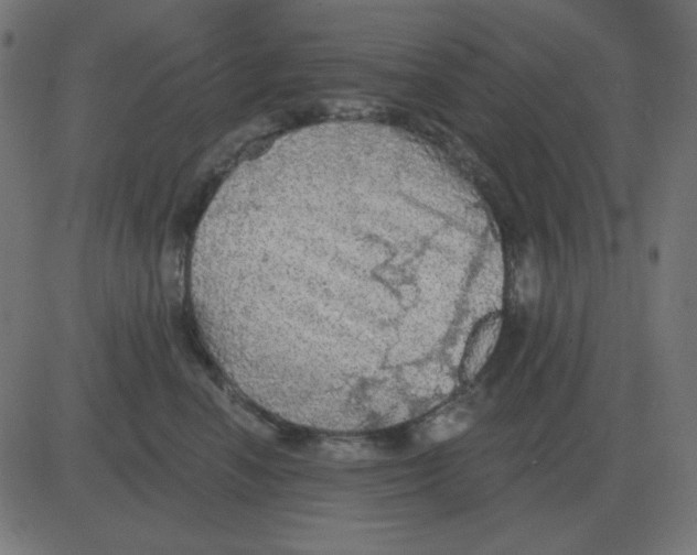 X0000081280666200702012220