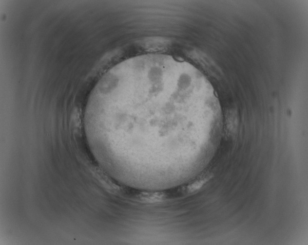 X0000081280667200702012220