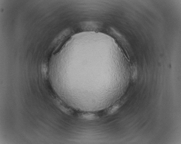 X0000081280669200702012220