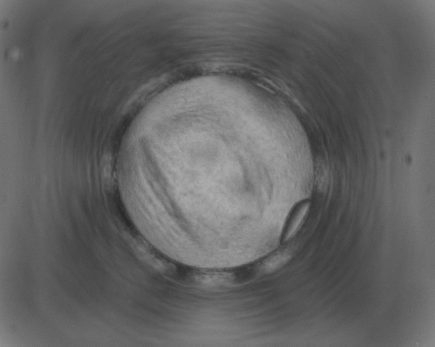 X0000081280670200702012220