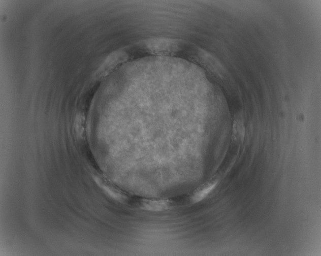 X0000081280671200702012220