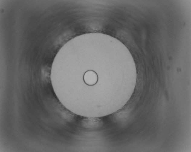 X0000081280672200702012220