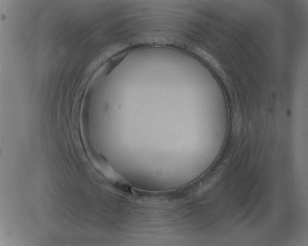 X0000081280673200702012219