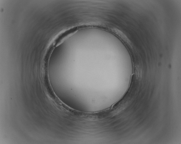 X0000081280676200702012219