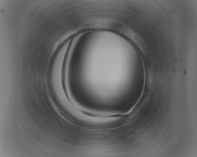 X0000081280677200702012219