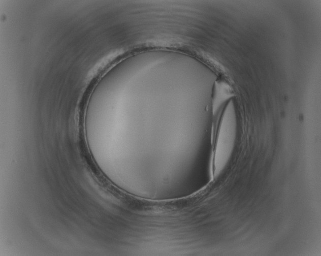 X0000081280678200702012219