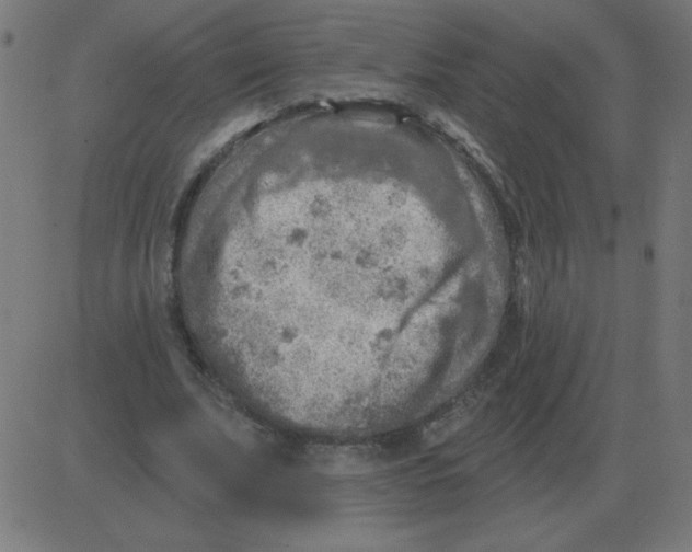 X0000081280679200702012219