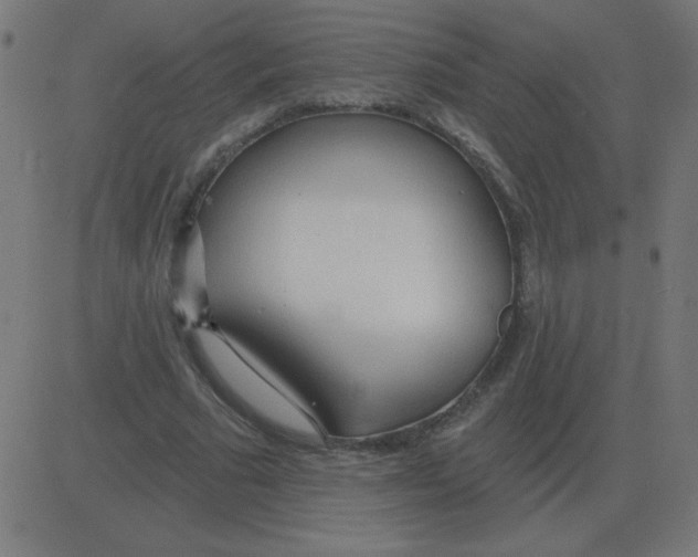 X0000081280681200702012219