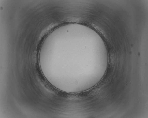 X0000081280682200702012219