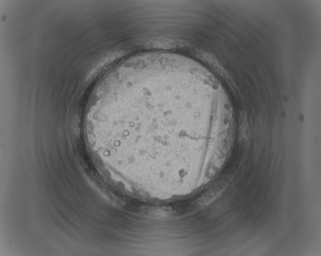 X0000081280683200702012219