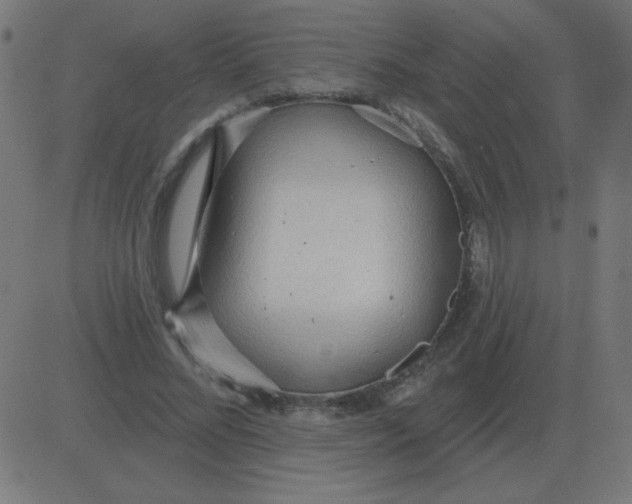 X0000081280684200702012219