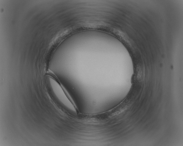 X0000081280685200702012219