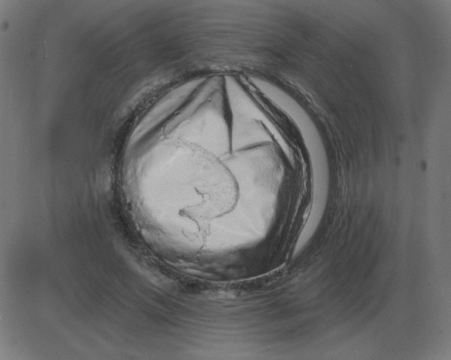 X0000081280687200702012219