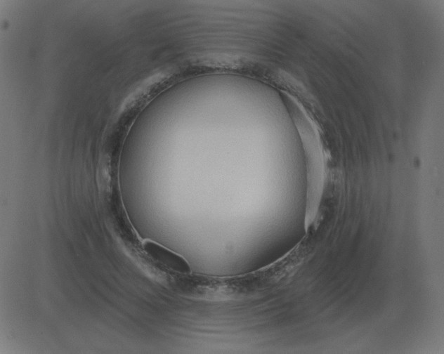 X0000081280688200702012219