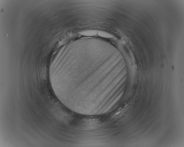 X0000081280689200702012219