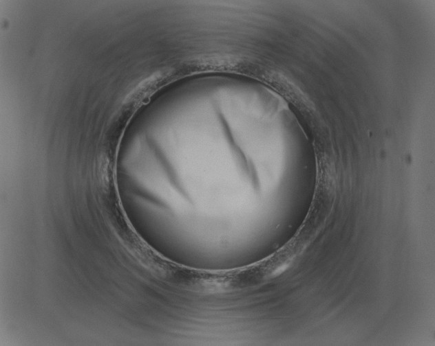 X0000081280692200702012219