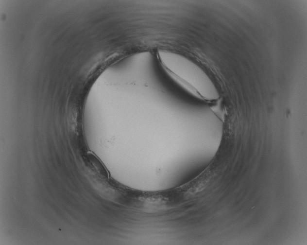 X0000081280693200702012219