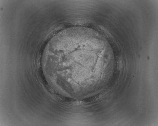 X0000081280695200702012219