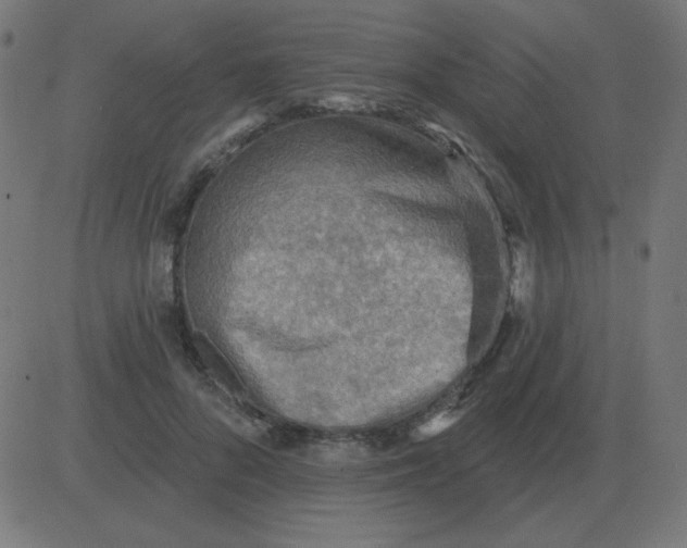 X0000081280696200702012219