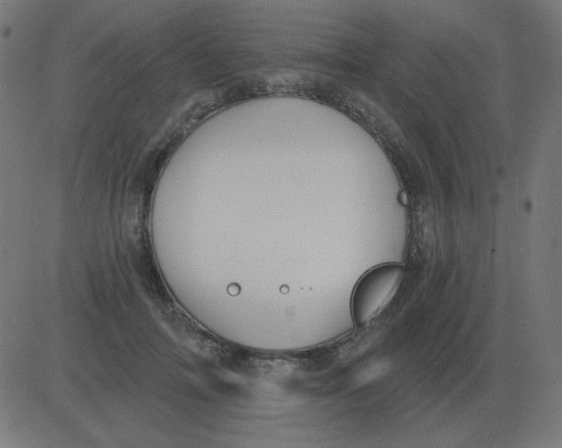 X0000081280698200702012219