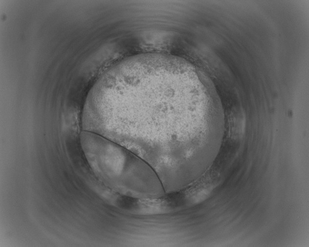 X0000081280699200702012219