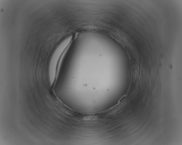 X0000081280700200702012219