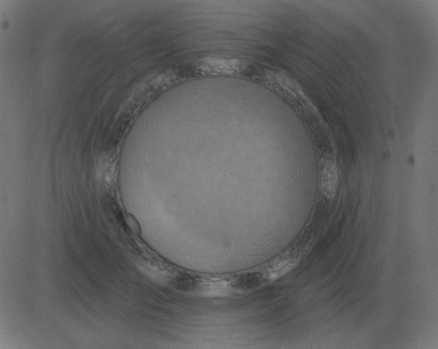 X0000081280701200702012219