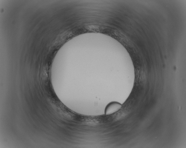 X0000081280702200702012219