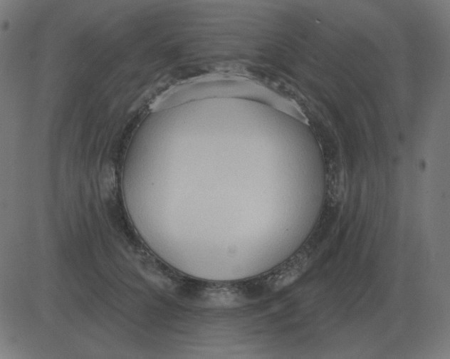 X0000081280704200702012219